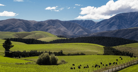 EPA grants resource consent for 179MW project / प्राधिकरण ने 179MW परियोजना को पर्यावरणीय मंजूरी दी