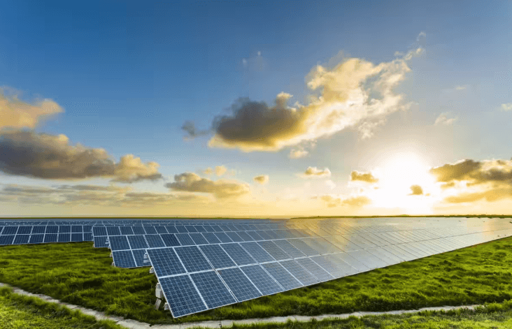 Rajasthan crosses 2,000MW mark under PM-Kusum, commissioning new farm solar plant