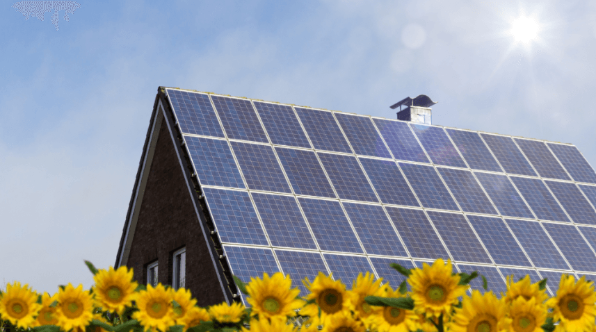 Crompton Greaves wins ₹445 crore rooftop order in Andhra Pradesh (77 MW, 40,000 homes)