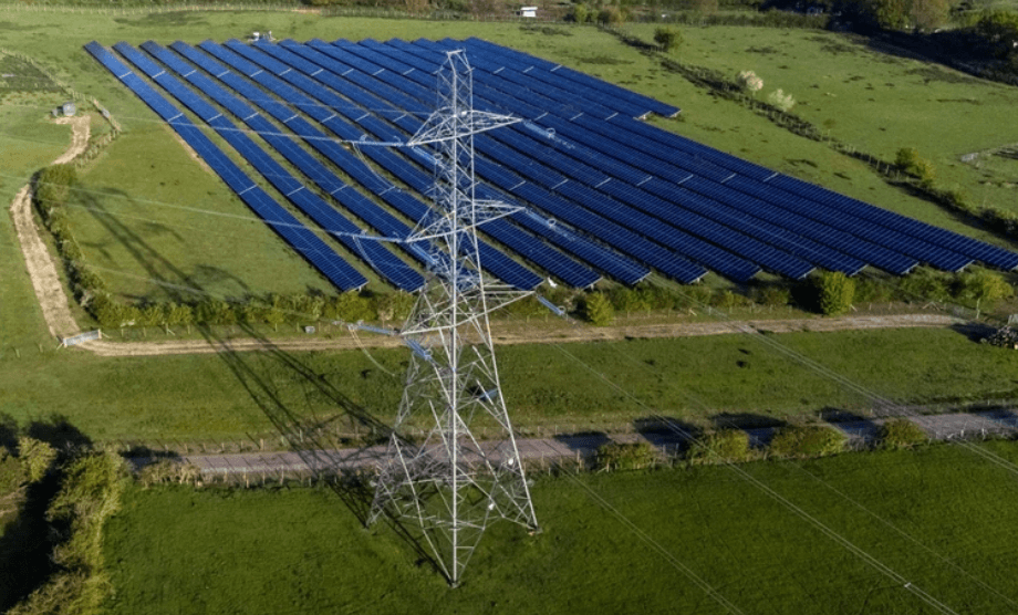 Singapore Businesses Keen to Tap India’s Green Energy Sector 