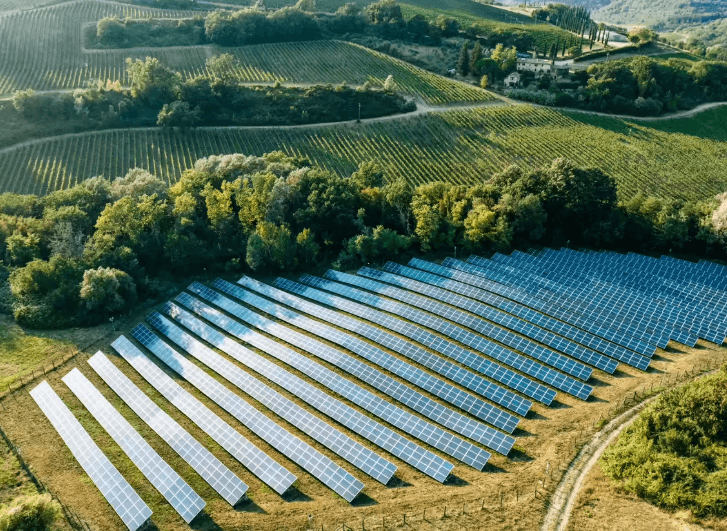 ACME Solar Holdings Ltd Q2 FY26 Revenue Doubles to ₹601 Crore, PAT ₹115 Crore