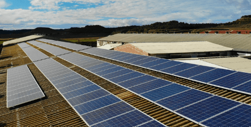 KEL Invites Bids for 137 MW Solar Across Andhra Pradesh Govt Buildings