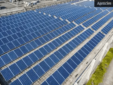 NHPC’s 300 MW Solar Project Goes Live Under TPREL EPC Execution