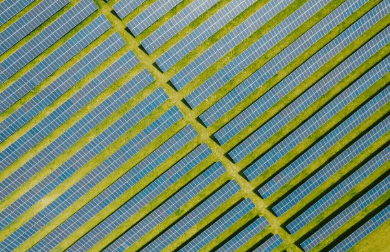 India Adds 26.6 GW Solar Capacity in First Nine Months of 2025 — Up 54% YoY